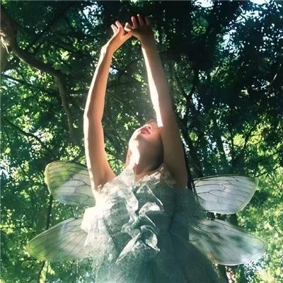 黄飞鸿之五：龙城歼霸